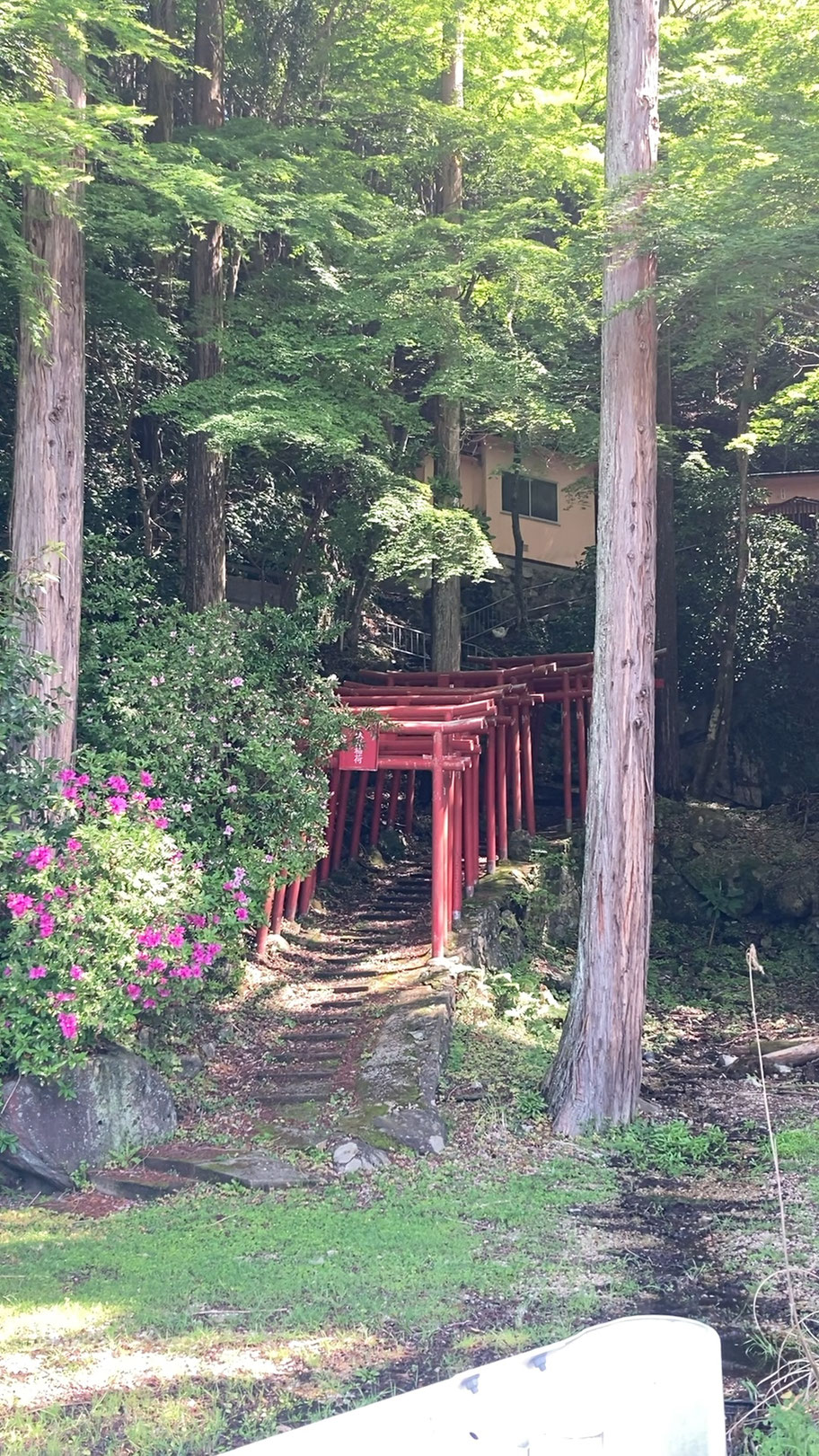 【みやこ町伊良原】英彦山の山伏たちがかつて修行した隠れ里の「鳴滝不動尊」へ