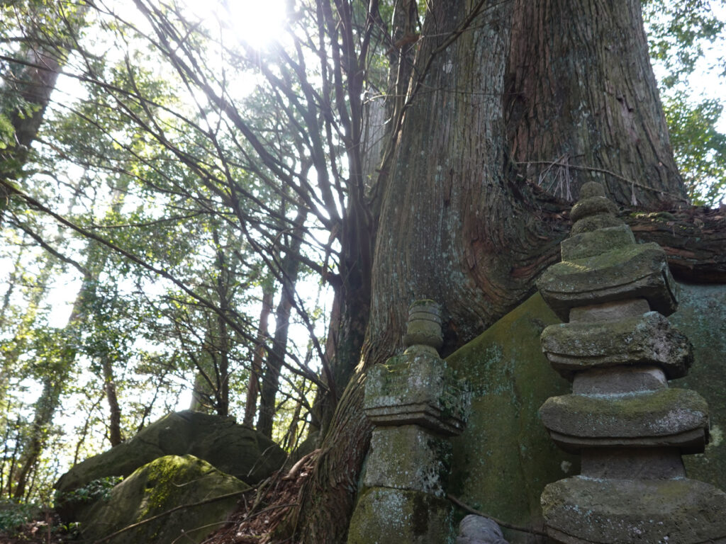 初めて登った山は求菩提山-豊前市 (20)