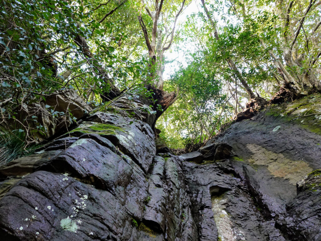 初めて登った山は求菩提山-豊前市 (24)