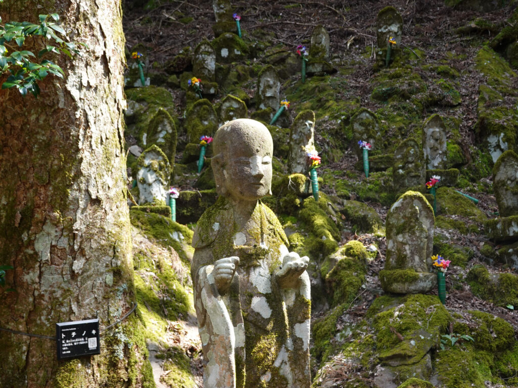 初めて登った山は求菩提山-豊前市 (8)