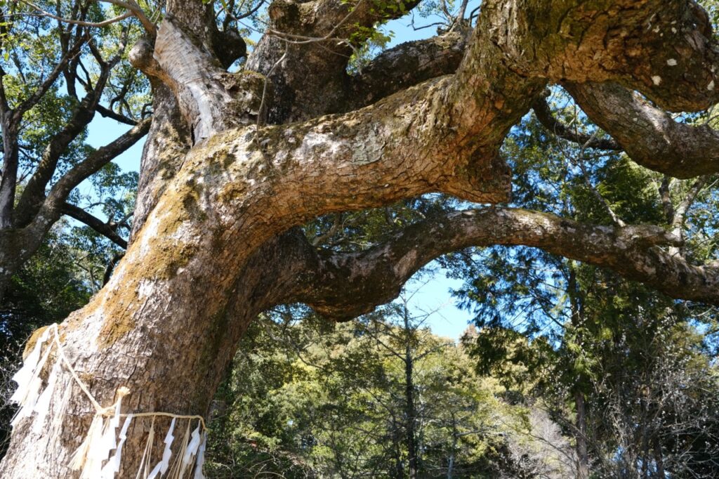 【大分県中津市】菅原道真が太宰府の前に過ごした場所。千年の歴史を持つ「犬丸天満宮」へ