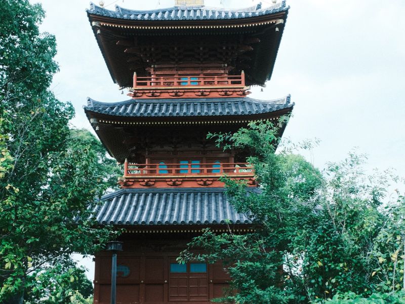 みやこ町-九州に3つしかない築100年超えの塔-豊前国分寺-三重塔 (2)