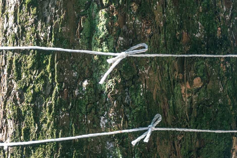 2024年8月15日｜千手観音堂｜豊前市｜撮影記録