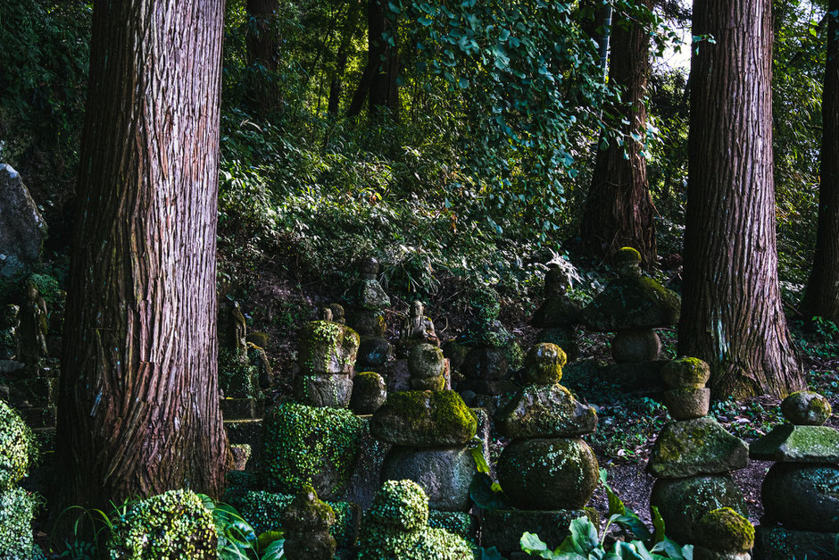 2024年8月15日｜千手観音堂｜豊前市｜撮影記録