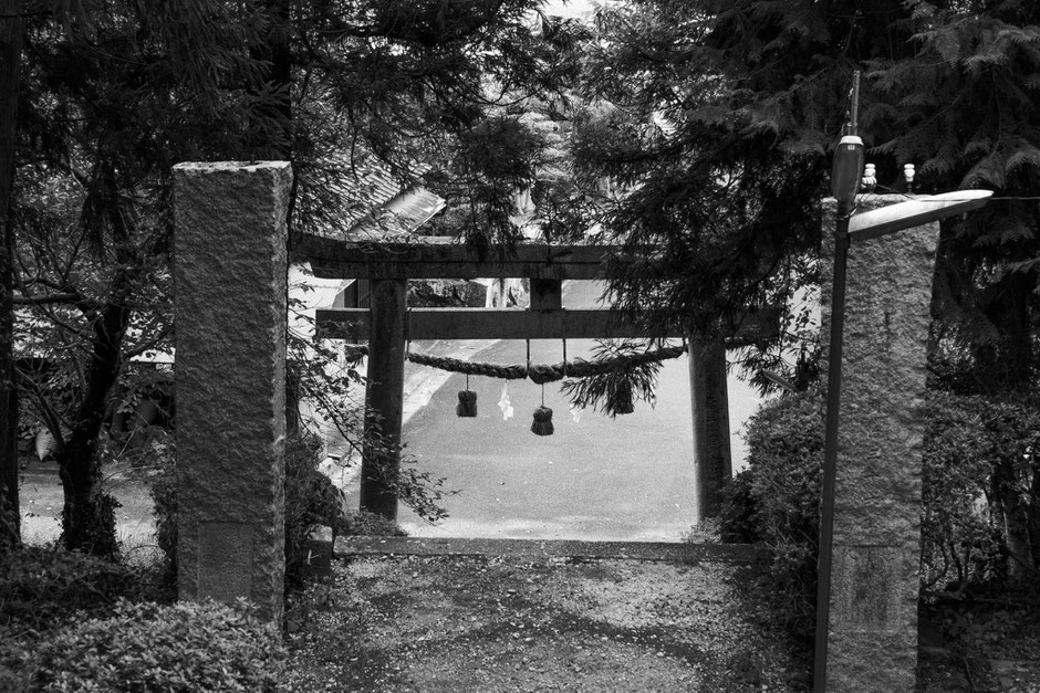 2024年8月19日|上毛町|八坂神社|牛頭天王公園|撮影記録