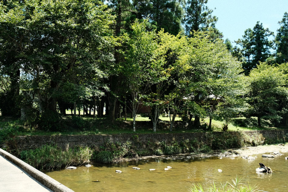 伊呂波川