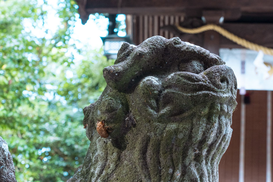 2024年8月15日|嘯吹八幡神社|豊前市|撮影記録