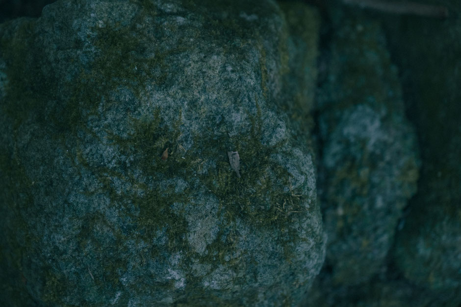 2024年8月8日(木)/国東半島/国東市/両子寺 撮影記録