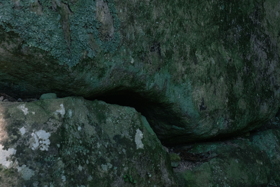 2024年8月8日(木)/国東半島/国東市/両子寺 撮影記録