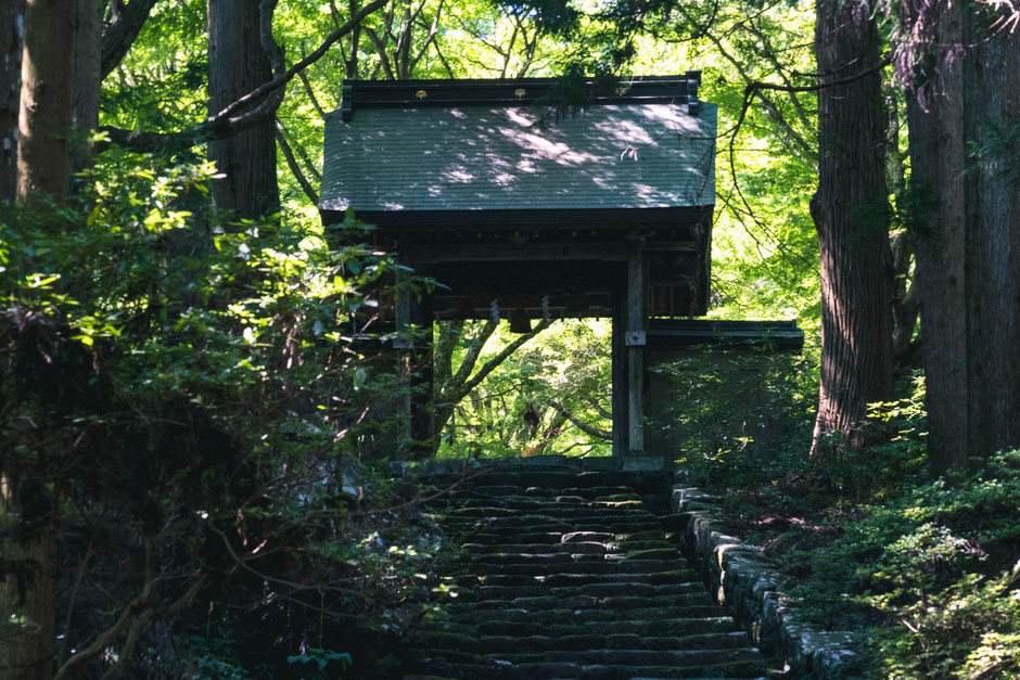 2024年8月8日(木)/国東半島/国東市/両子寺 撮影記録