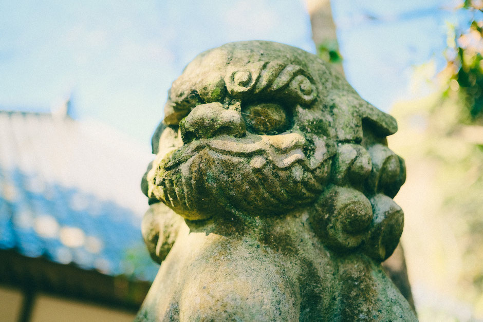 大分県豊後高田市 無動寺 身濯神社（六所権現）