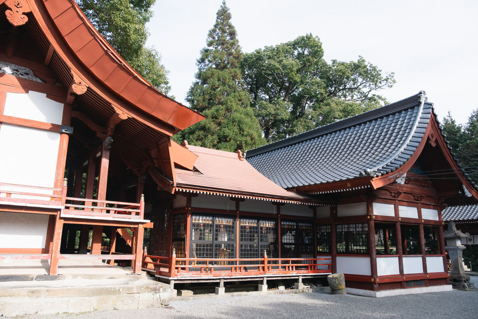 心と体が整う鎮守の杜歩き 妻垣神社(宇佐市)