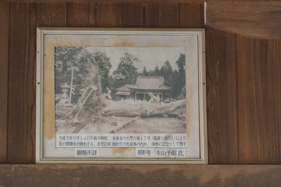 大分県宇佐市 貴船神社(下拝田）