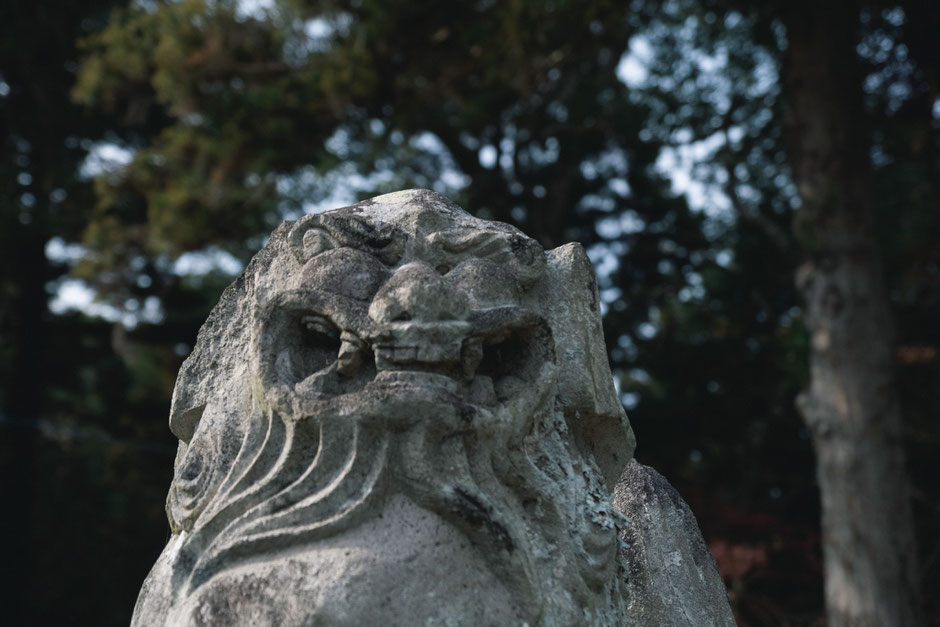 心と体が整う鎮守の杜歩き 妻垣神社(宇佐市)狛犬