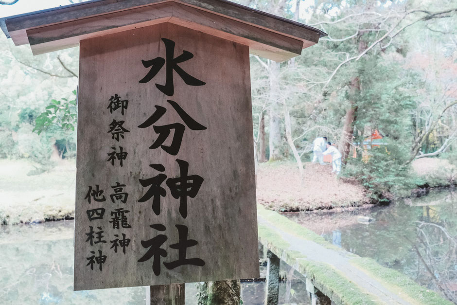 宇佐神宮　菱形池に浮かぶ「水分神社」