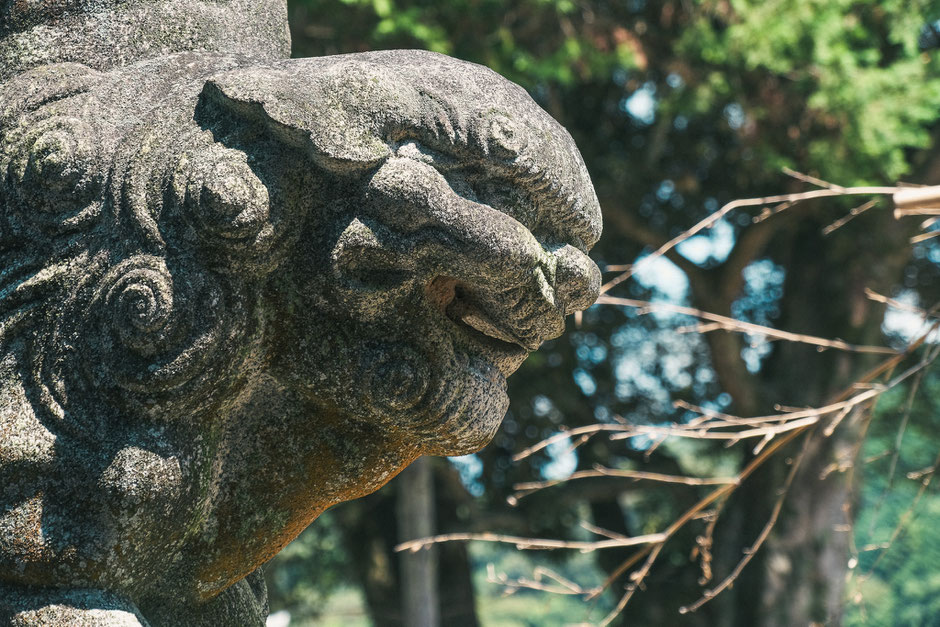 2024年8月23日｜小原正八幡宮｜築上町｜撮影記録