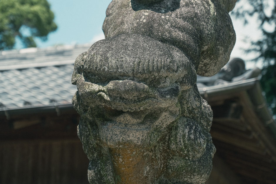 2024年8月23日｜小原正八幡宮｜築上町｜撮影記録