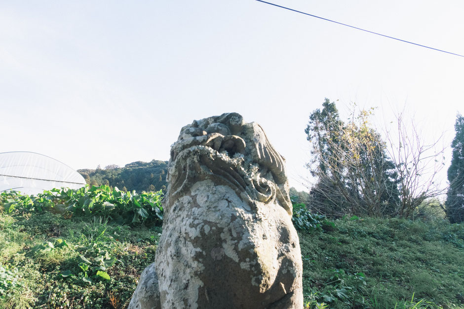 心と体が整う鎮守の杜歩き 妻垣神社(宇佐市)狛犬