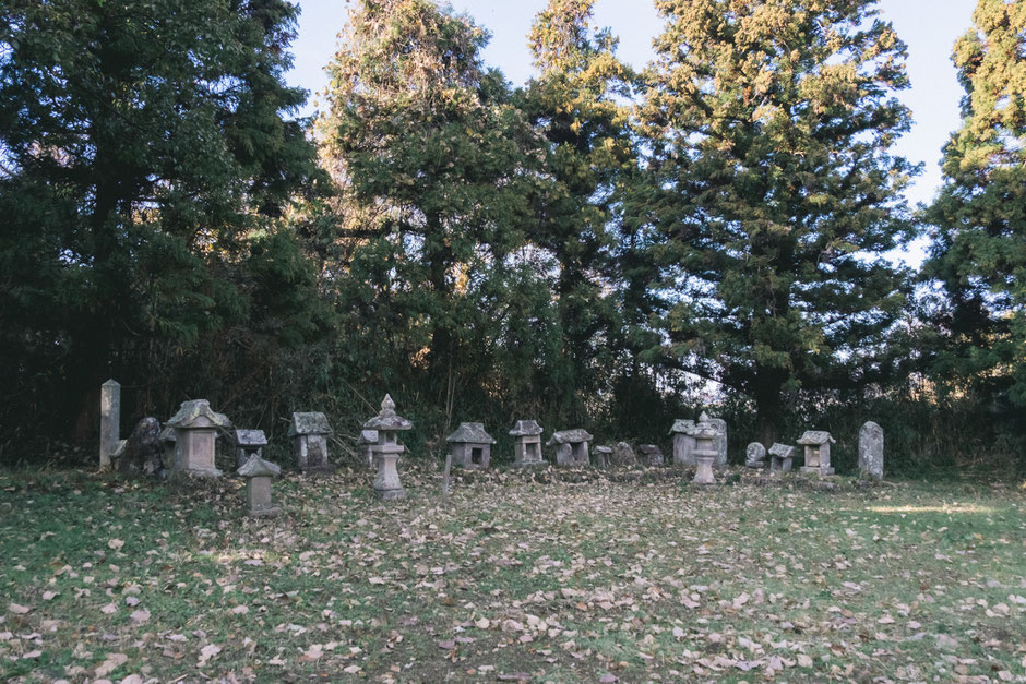 心と体が整う鎮守の杜歩き 妻垣神社(宇佐市)石祠
