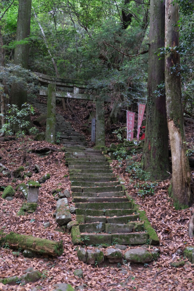 【福岡県の低山登山】梅雨入り直前、6月の求菩提山へ