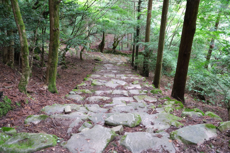 【福岡県の低山登山】梅雨入り直前、6月の求菩提山へ