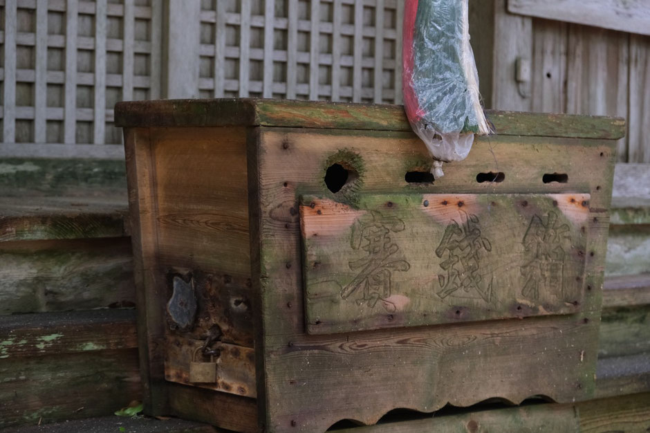 【福岡県の低山登山】梅雨入り直前、6月の求菩提山へ