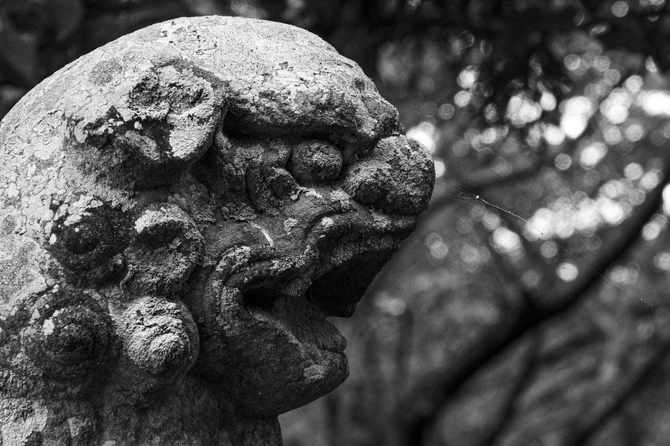 福岡県上毛町 八坂神社 牛頭天王公園内の狛犬