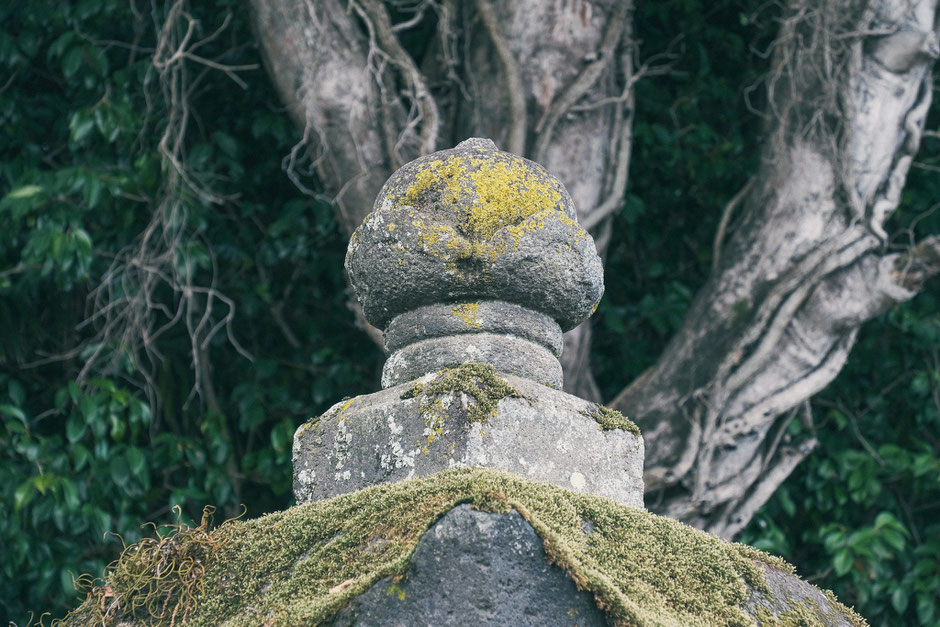 石清水八幡神社(福岡県豊前市)フォトライター夏の歴史カメラ散歩