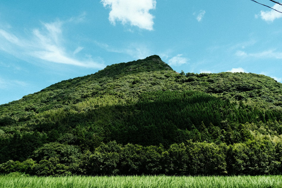 稲積山