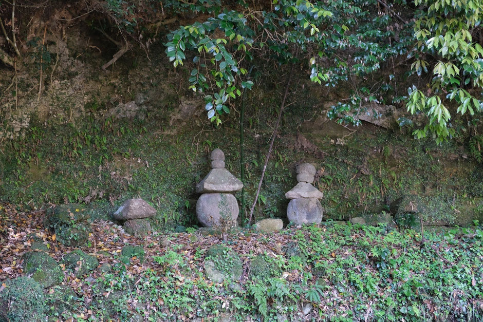 【豊前市】シャガの花を撮りに5月の如法寺へ