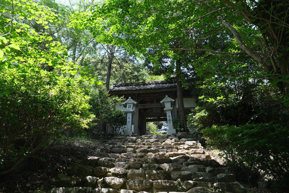 【豊前市】シャガの花を撮りに5月の如法寺へ