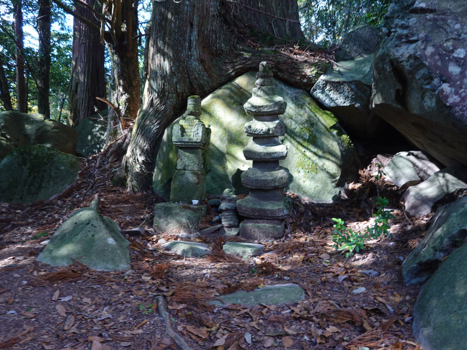 豊前市 求菩提山 山頂付近