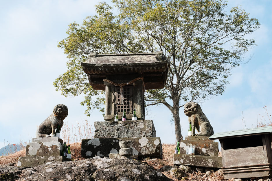 豊後高田市 馬城山 伝乗寺 金比羅宮