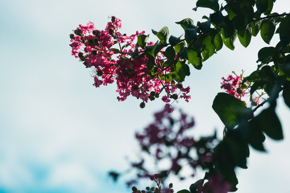 重野岩窟仏（大分県豊後高田市）フォトライター夏の歴史カメラ散歩