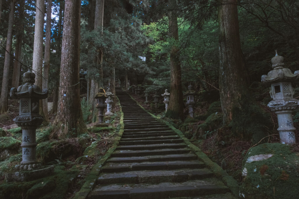 豊前坊高住神社 参道