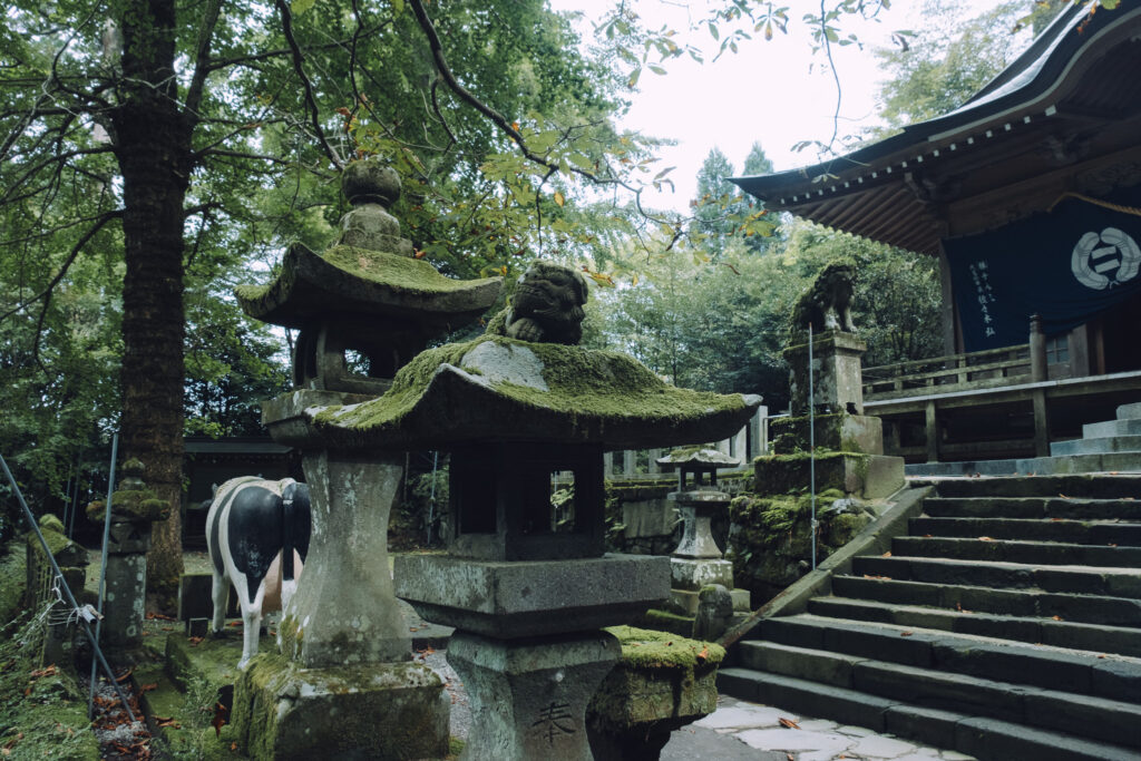 豊前坊高住神社 石灯籠
