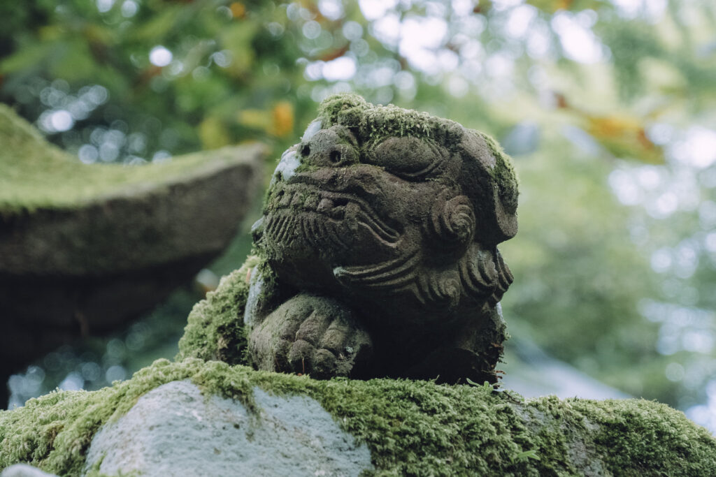 豊前坊高住神社 石灯籠