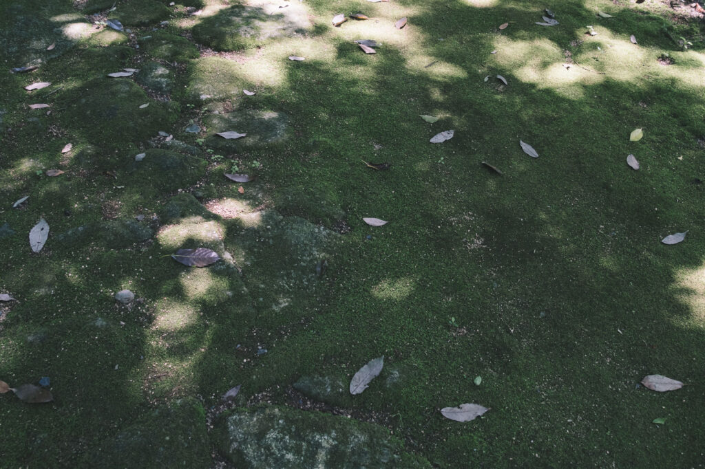 八景山-みやこ町