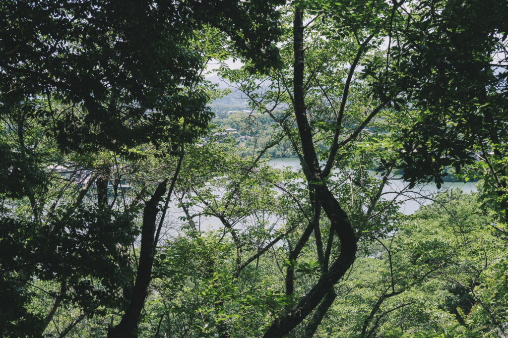 八景山-みやこ町-景色