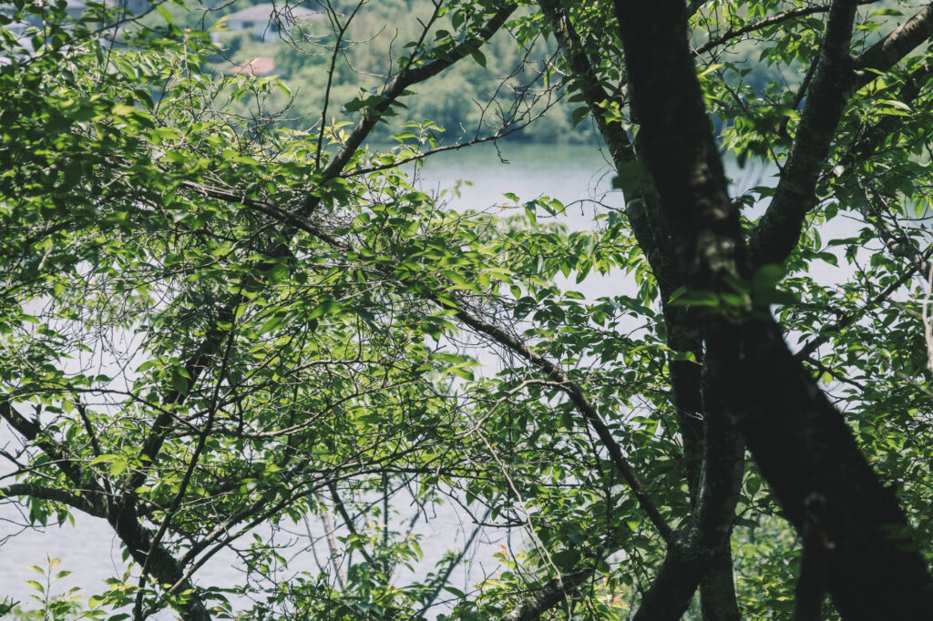 八景山-みやこ町-池
