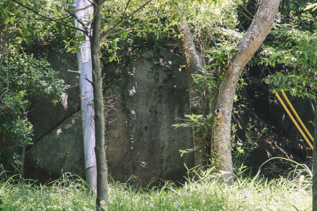八景山-みやこ町