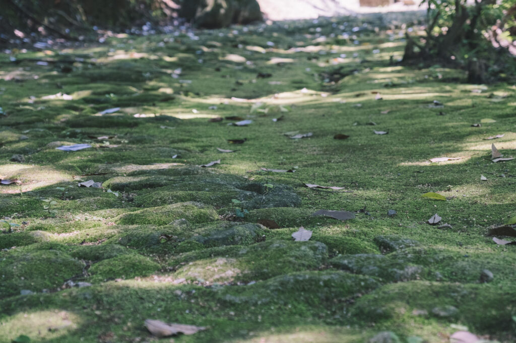 八景山-みやこ町-石畳