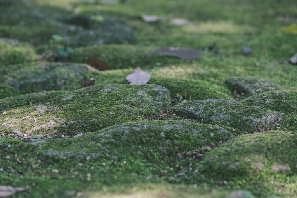 八景山-みやこ町-石段