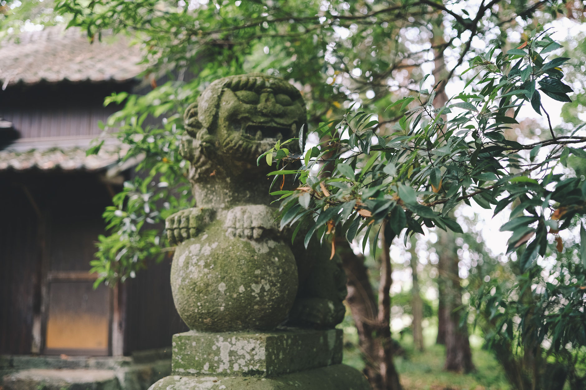 【大分県宇佐市】古墳の上に鎮座する乙咩神社の謎：消された「乙比咩」と神々の系譜