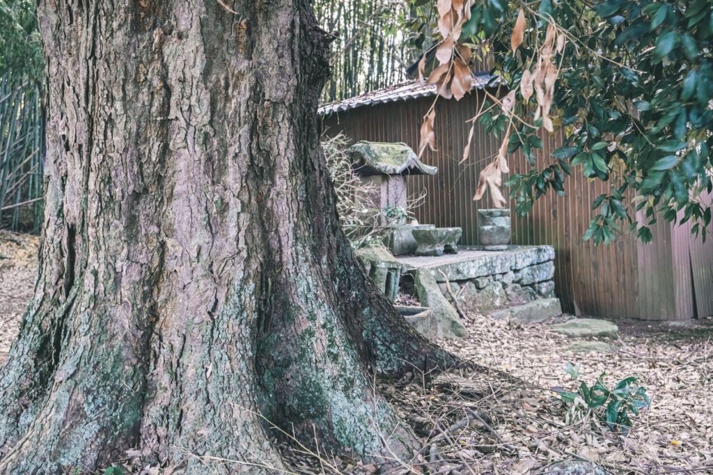 【豊後高田市】 雷鬼(いかずちおに)の岩屋古墳・海神社へ