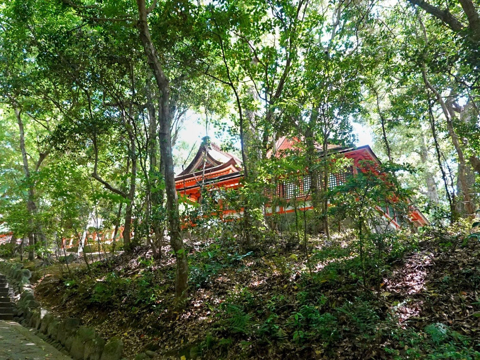 【宇佐神宮】スニーカーを履いて5月のカメラ散歩