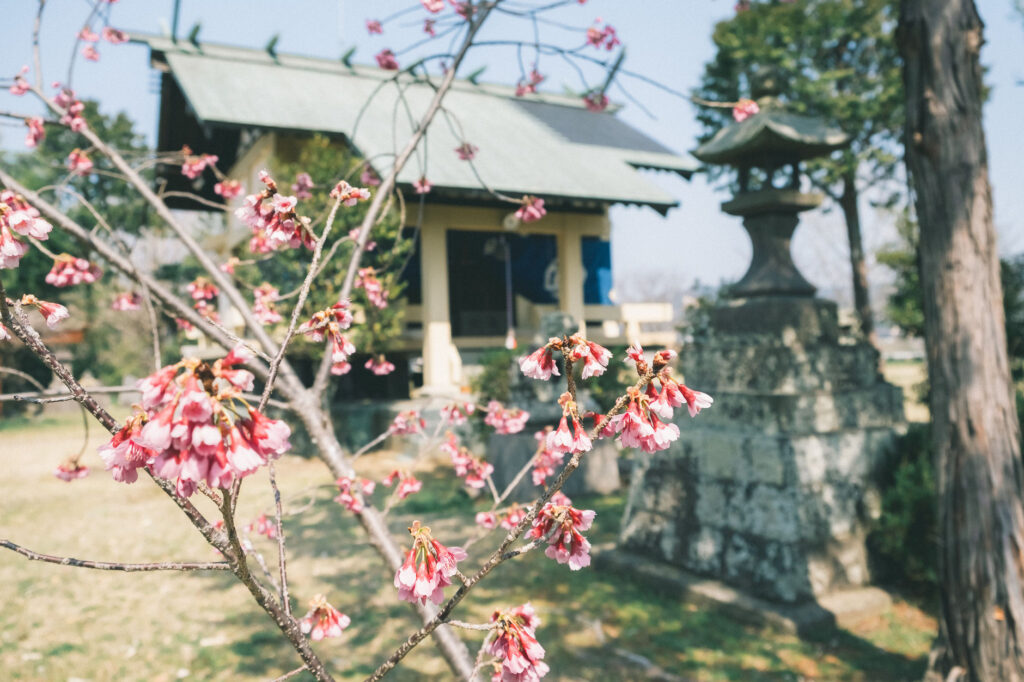 【うきは市浮羽町古川】素盞嗚神社　石祠
