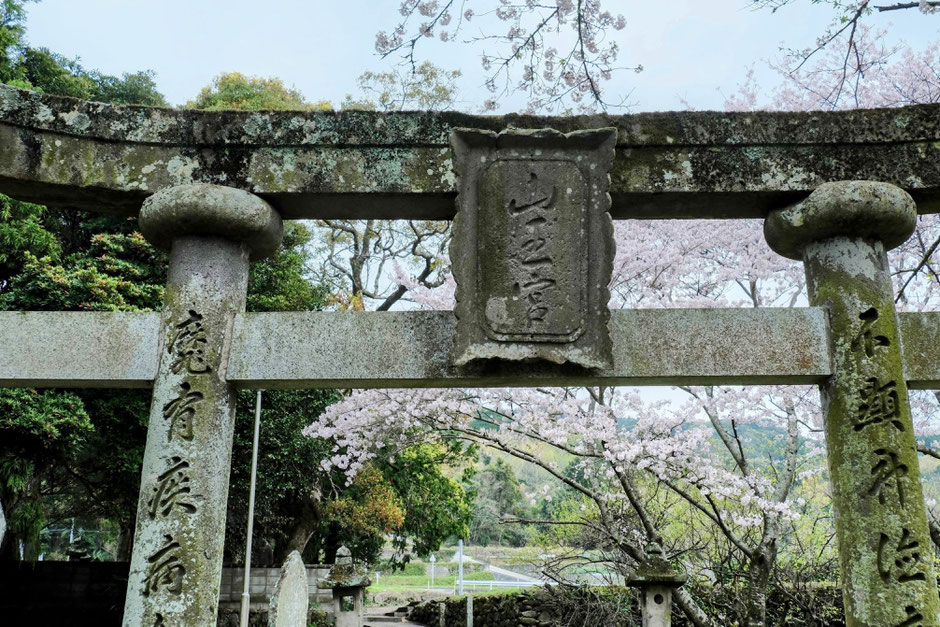 【豊後高田市上香々地】記憶に残る国東半島の神社「日枝神社」