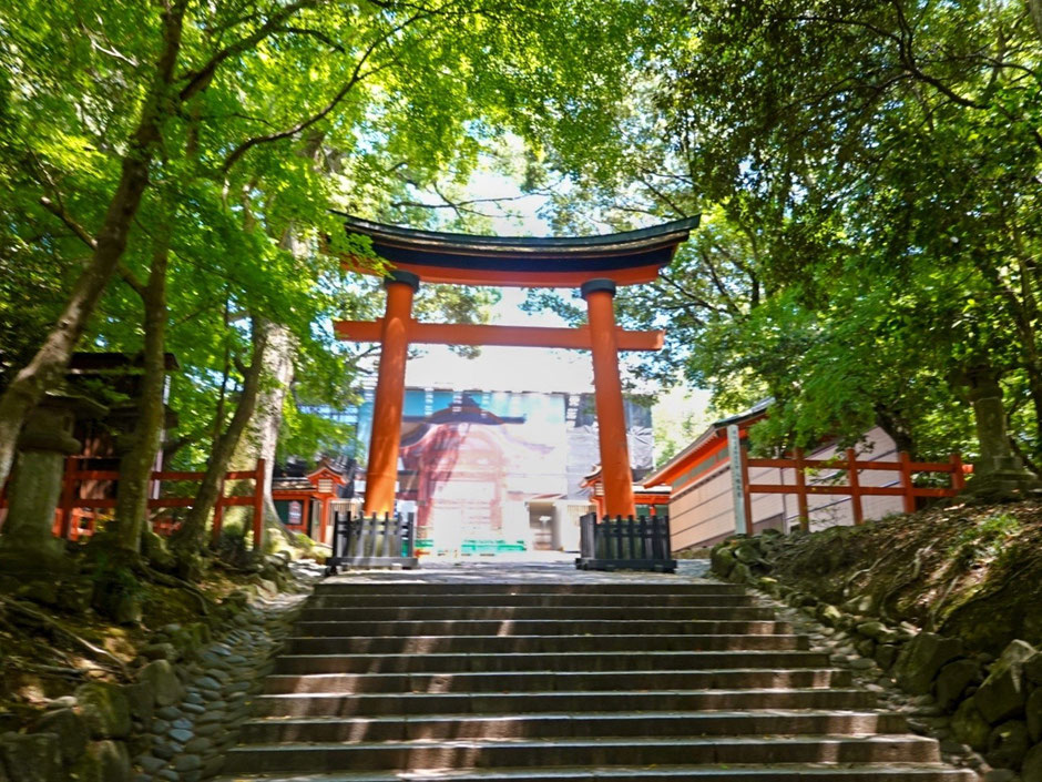 【宇佐神宮】スニーカーを履いて5月のカメラ散歩