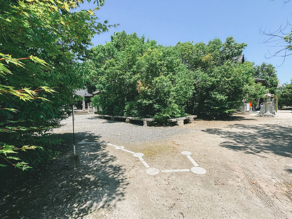 【中津城の星の謎】北斗七星の敷石が示す「空の神」饒速日命と妙見信仰、金毘羅信仰の繋がり